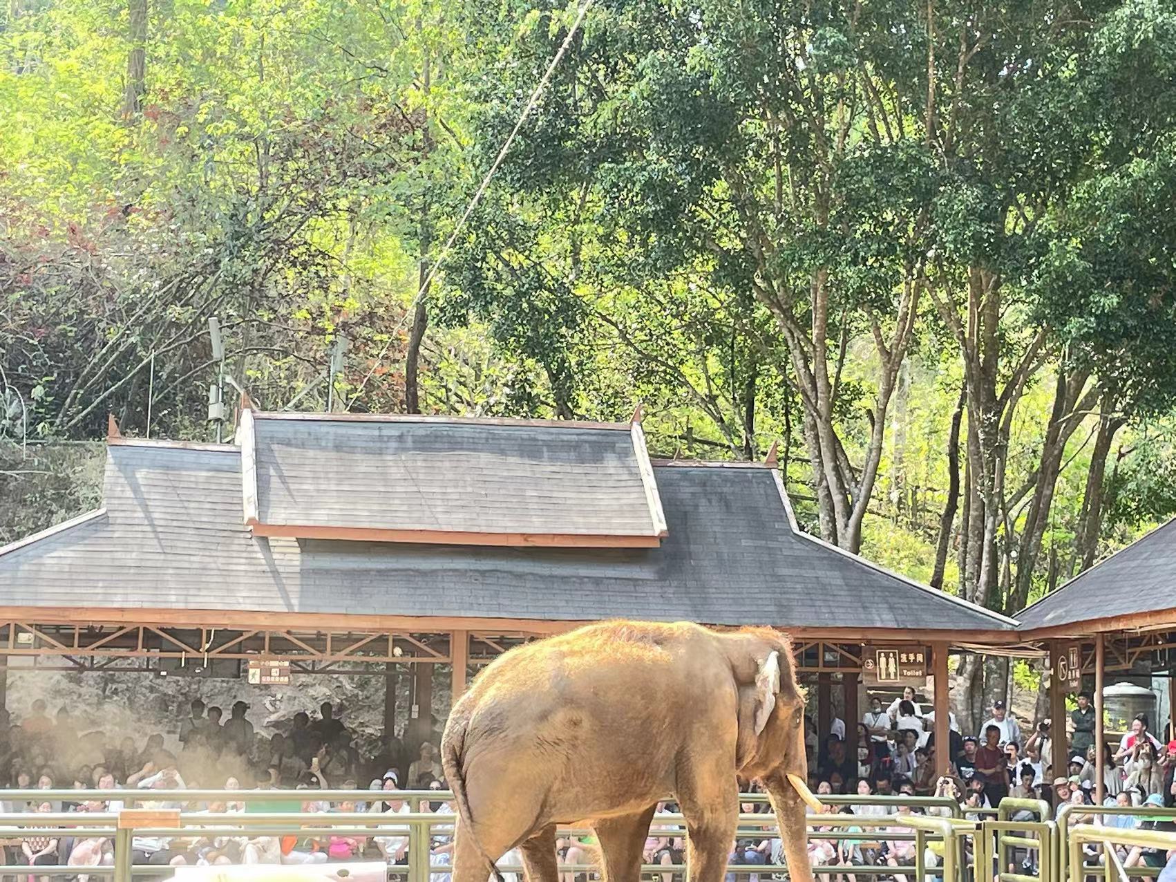 微信图片_20240520090915.jpg 微信图片_20240520090915.jpg